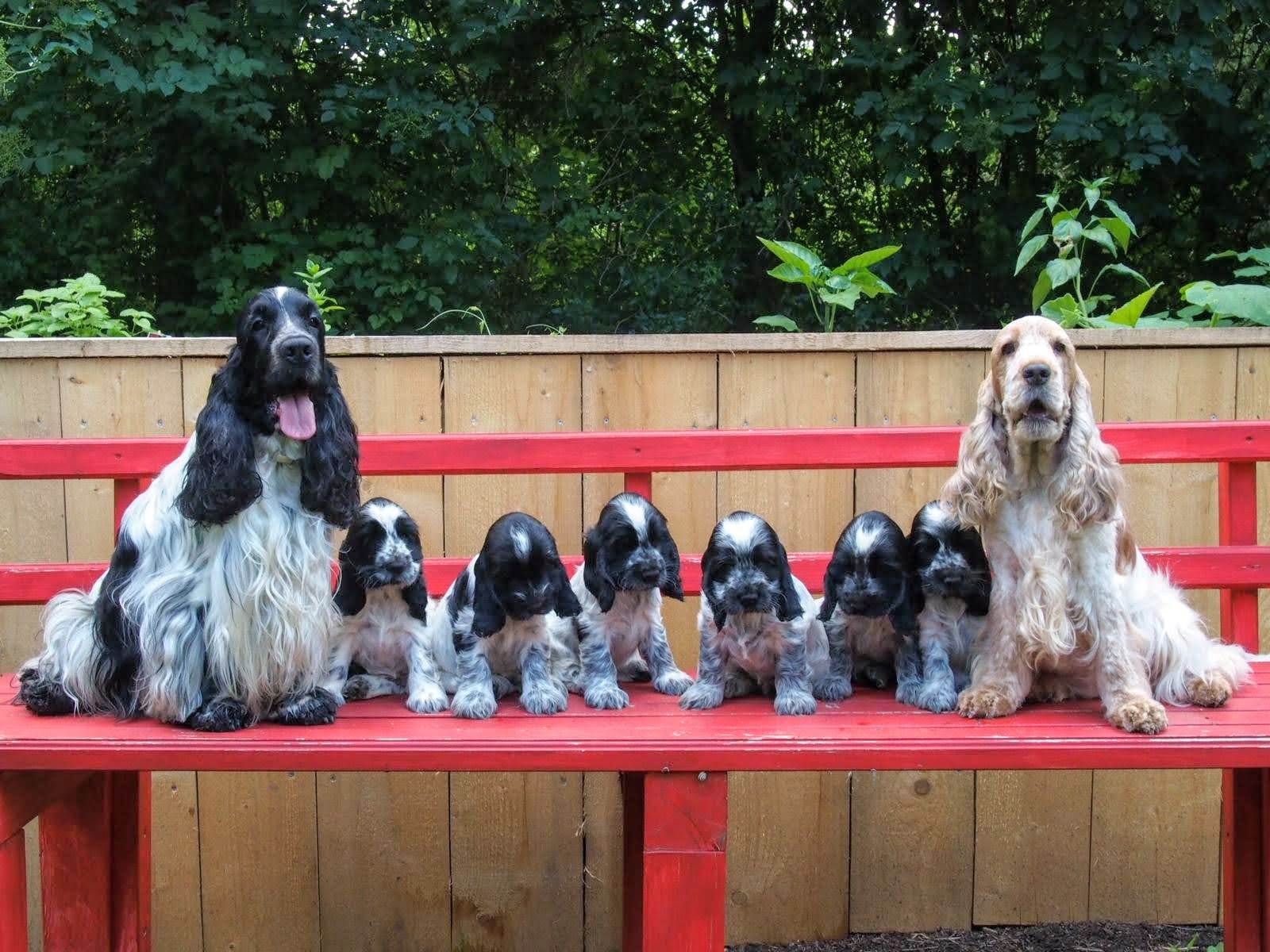 Familienbild