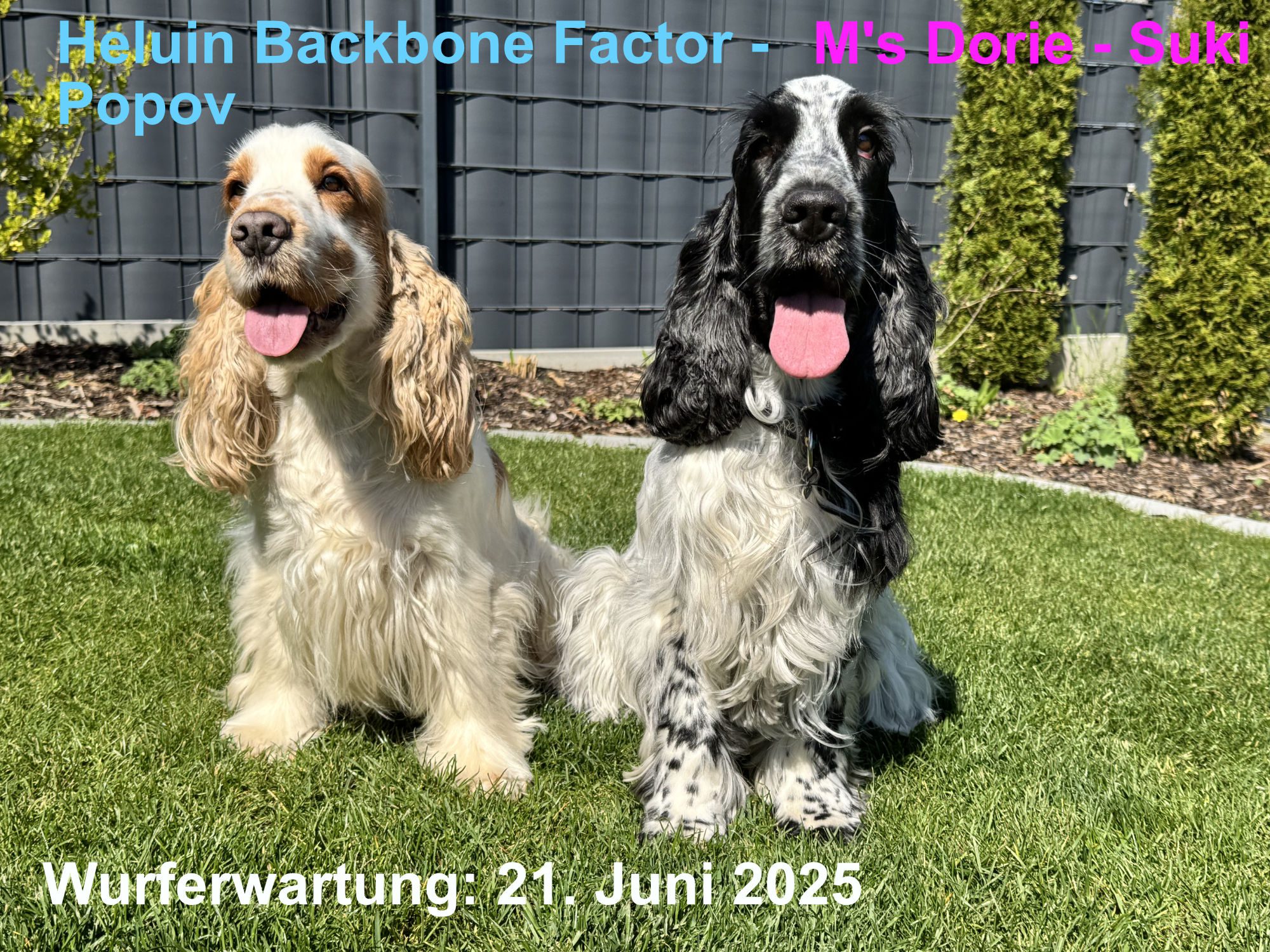 Wurferwartung um den 21. Juni 2025 nahe München