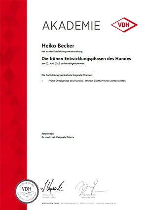 Die frühen Entwicklungsphasen des Hundes