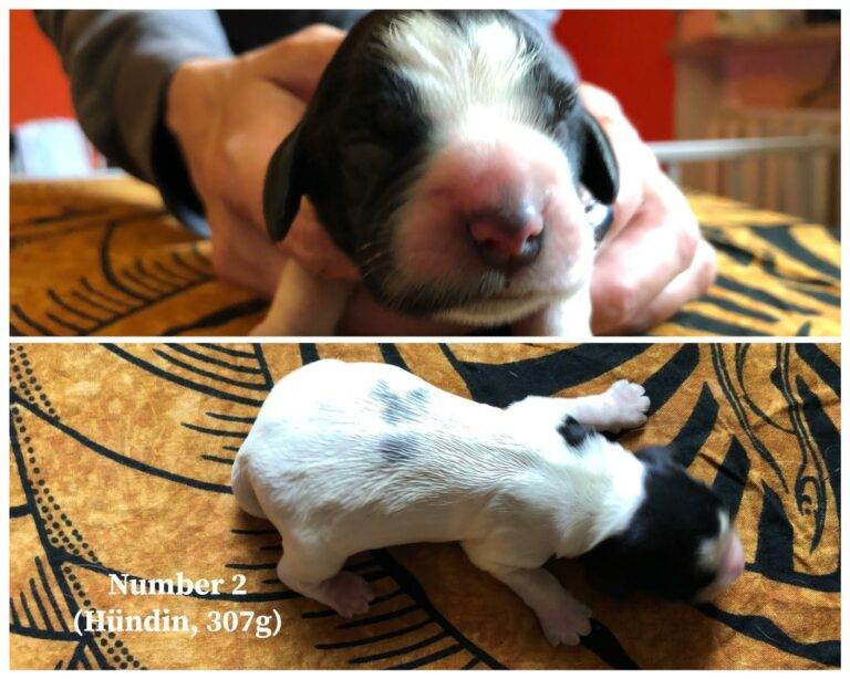 erstes Bild von Suki