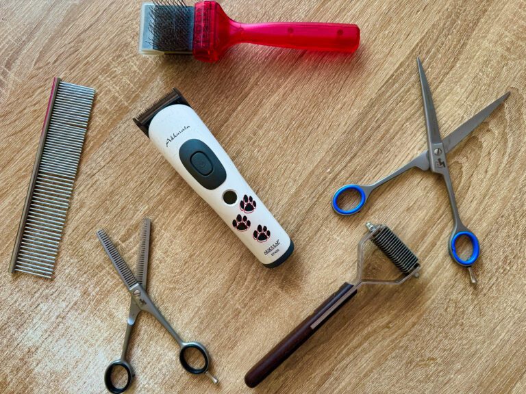 Werkzeuge für die Fellpflege - Trimmen oder Scheren