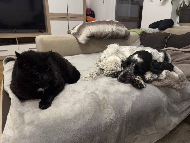 Suki und Gizmo kuscheln