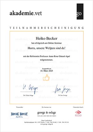 Zertifikat - Seminar - Hurra unsere Welpen sind da