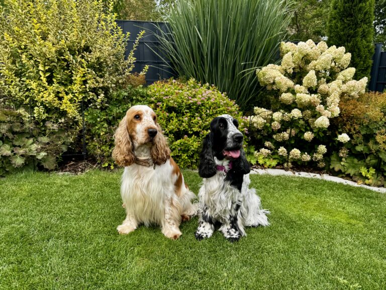 Suki und Dylan